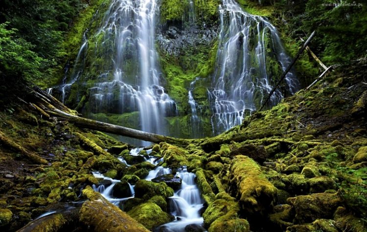 Самые величественные водопады мира: обалденное зрелище