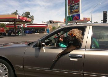 автомобильные приколы