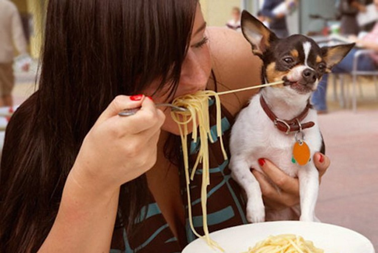 Ты — не ты, когда голоден: 40 уморительных снимков проголодавшихся животных