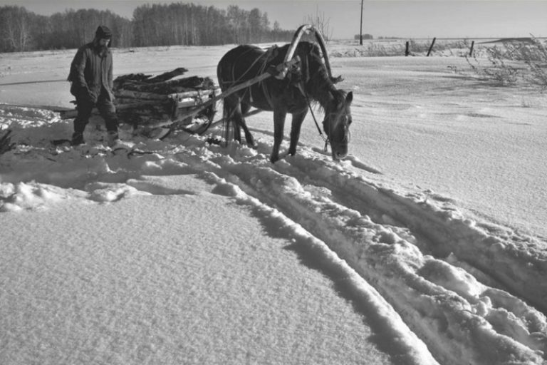 Видеть во сне старые фотографии свои