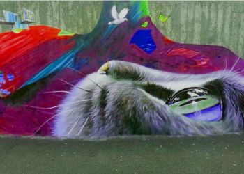 25 фотографий, которые открывают наш мир с другой стороны