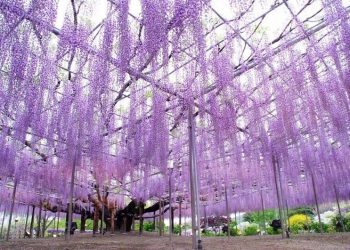 30 фото, которые еще раз доказывают, что наш мир – удивителен!
