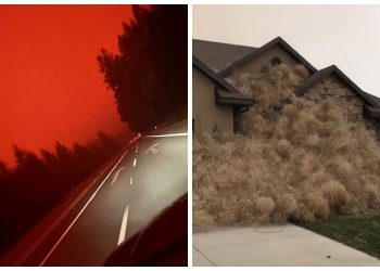 сила природы