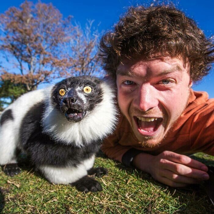 Люди делают забавные селфи с животными: 30 фото