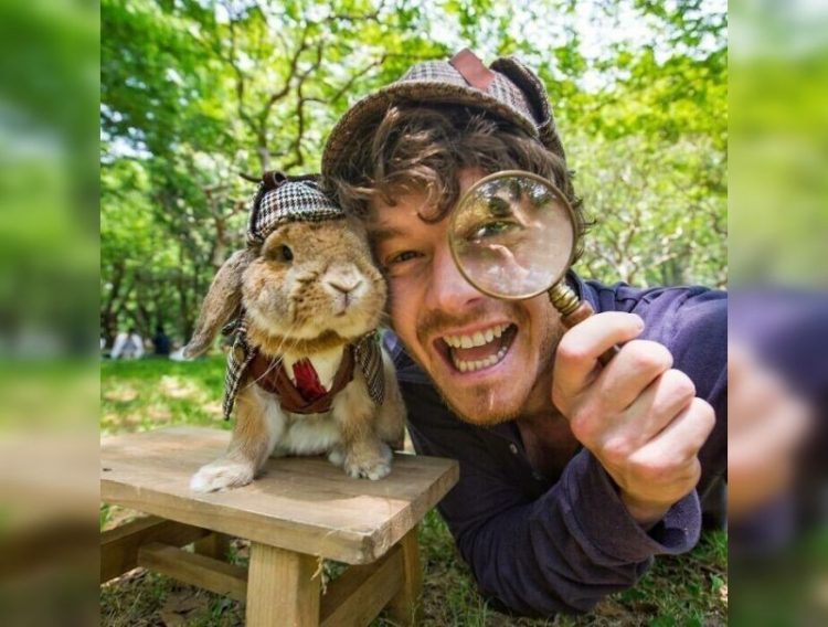 Люди делают забавные селфи с животными: 30 фото