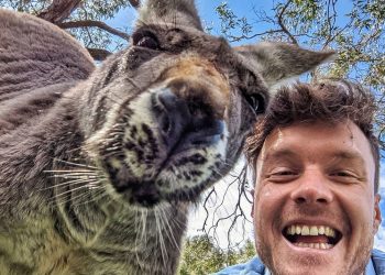 Люди делают забавные селфи с животными: 30 фото