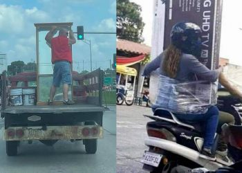 Чего только не увидишь на дороге, 30 забавных снимков