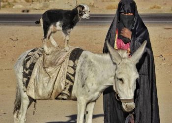 povsednevnaya zhizn' v Yegipte foto